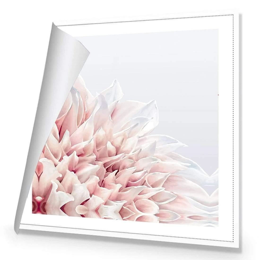 Dahlia Softness Dahlia Softness -WALL ART DESGIN SALE dahlia softness canvas rolled canvas 37x37cm 434970