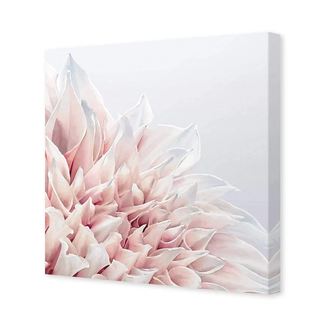 Dahlia Softness Dahlia Softness -WALL ART DESGIN SALE dahlia softness canvas stretched canvas 37x37cm 611001