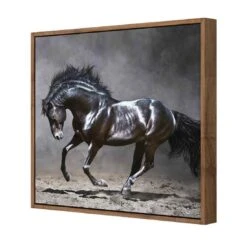 Dark Horse, Moonlight Canvas Art 5 Dark Horse, Moonlight Canvas Art -WALL ART DESGIN SALE dark horse moonlight canvas art 30x30cm natural frame 446324
