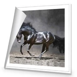 Dark Horse, Moonlight Canvas Art 8 Dark Horse, Moonlight Canvas Art -WALL ART DESGIN SALE dark horse moonlight canvas art 30x30cm rolled canvas 128366