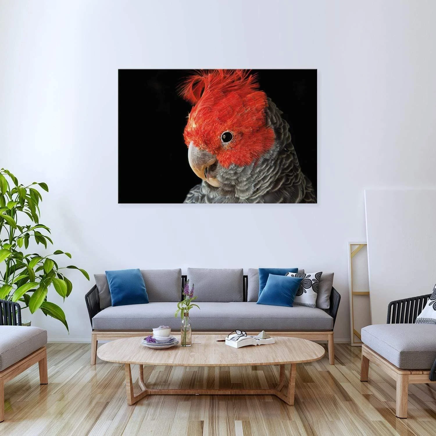 Delilah the Red Headed Parrot Delilah The Red Headed Parrot -WALL ART DESGIN SALE delilah the red headed parrot canvas stretched canvas 45x30cm 611464