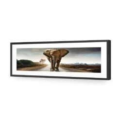 Determined Elephant, Long Acrylic Print Art 4 Determined Elephant, Long Acrylic Print Art -WALL ART DESGIN SALE determined elephant long acrylic glass art with border black frame 60x20cm 746838