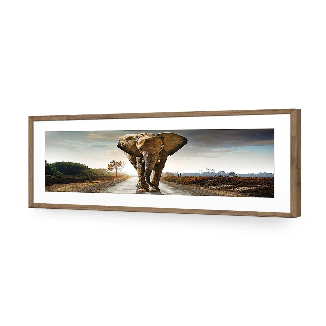 Determined Elephant, Long Acrylic Print Art Determined Elephant, Long Acrylic Print Art -WALL ART DESGIN SALE determined elephant long acrylic glass art with border natural frame 60x20cm 400336