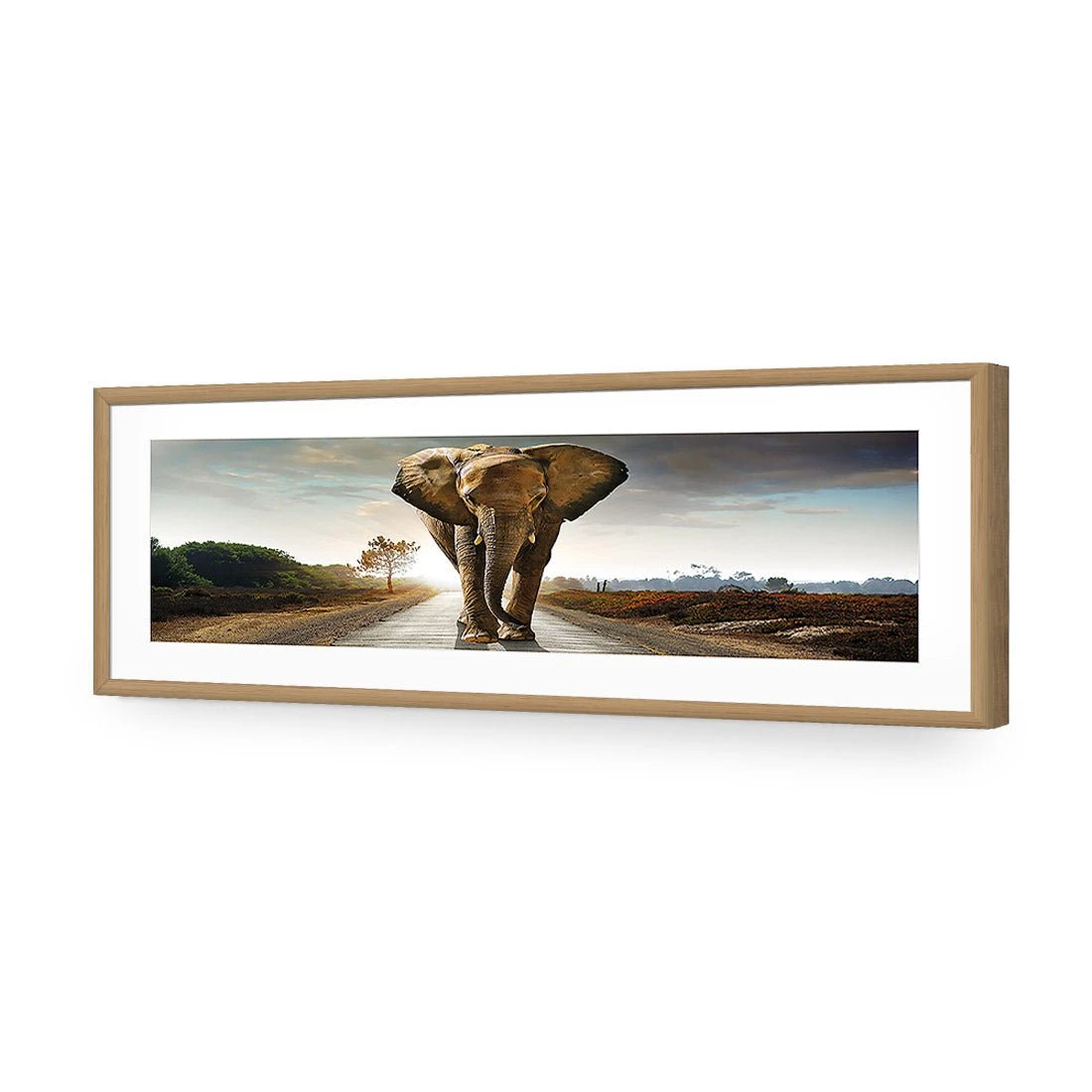Determined Elephant, Long Acrylic Print Art Determined Elephant, Long Acrylic Print Art -WALL ART DESGIN SALE determined elephant long acrylic glass art with border oak frame 60x20cm 487188