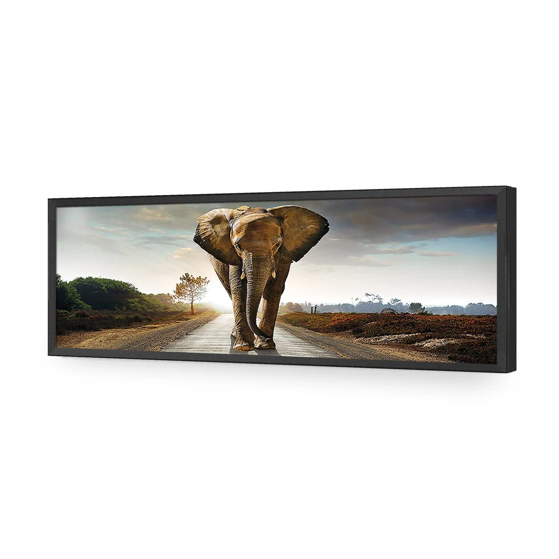 Determined Elephant, Long Acrylic Print Art Determined Elephant, Long Acrylic Print Art -WALL ART DESGIN SALE determined elephant long acrylic glass art without border black frame 60x20cm 663150