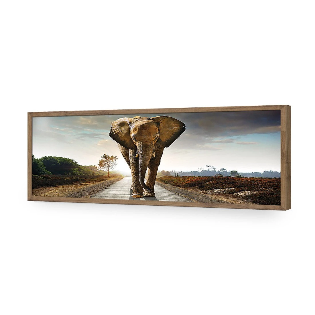 Determined Elephant, Long Acrylic Print Art Determined Elephant, Long Acrylic Print Art -WALL ART DESGIN SALE determined elephant long acrylic glass art without border natural frame 60x20cm 797751