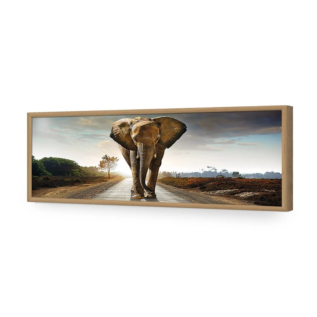 Determined Elephant, Long Acrylic Print Art Determined Elephant, Long Acrylic Print Art -WALL ART DESGIN SALE determined elephant long acrylic glass art without border oak frame 60x20cm 321407