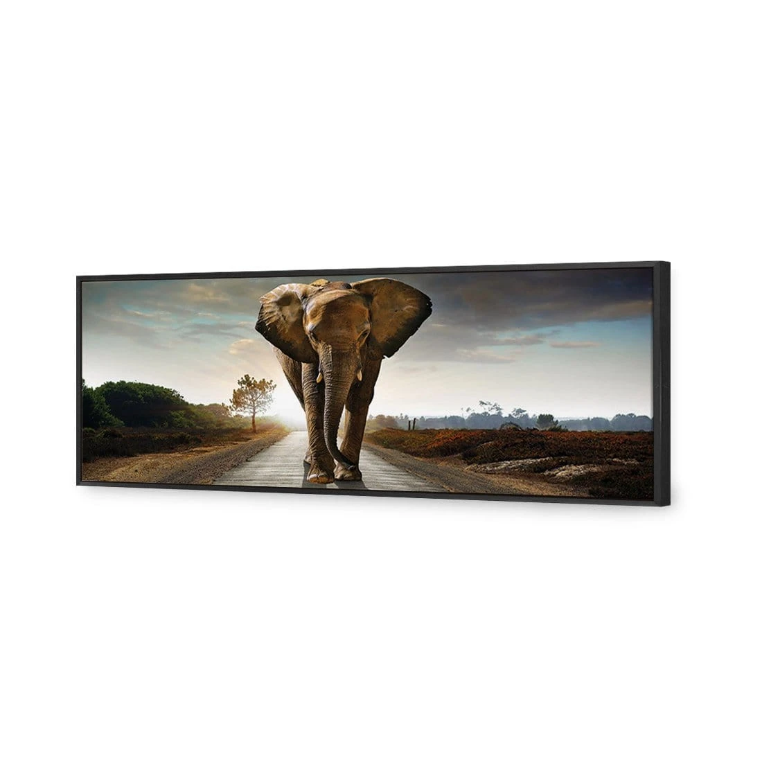 Determined Elephant (Long) Canvas Art Determined Elephant (Long) Canvas Art -WALL ART DESGIN SALE determined elephant long canvas art 60x20cm black frame 954015