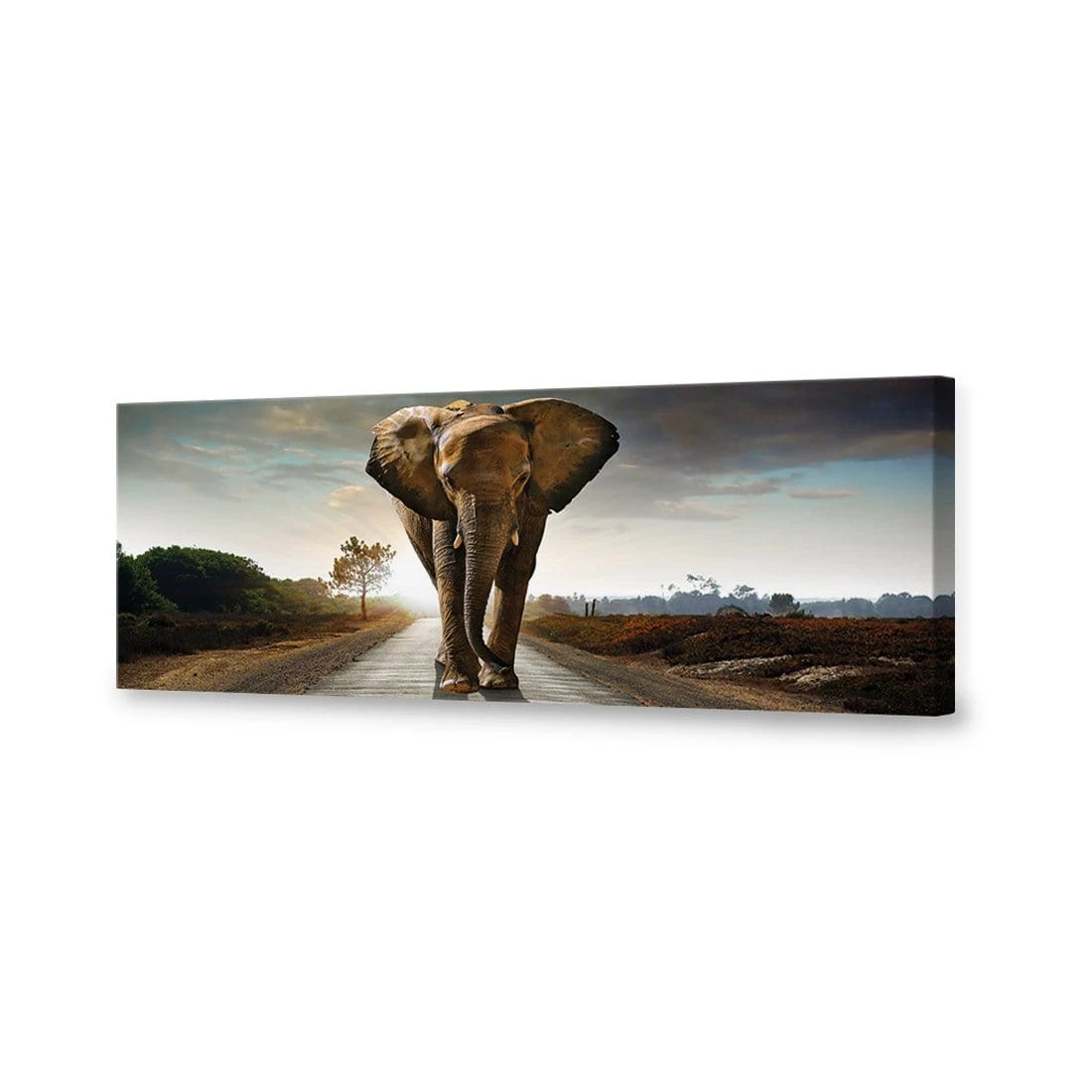 Determined Elephant (Long) Canvas Art Determined Elephant (Long) Canvas Art -WALL ART DESGIN SALE determined elephant long canvas art 60x20cm no frame 797243
