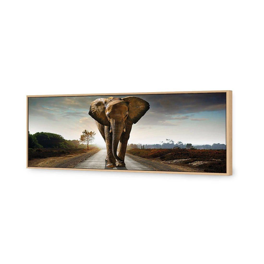 Determined Elephant (Long) Canvas Art Determined Elephant (Long) Canvas Art -WALL ART DESGIN SALE determined elephant long canvas art 60x20cm oak frame 626681