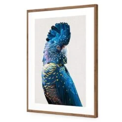 Distracted Black Cocky -WALL ART DESGIN SALE distracted black cocky acrylic glass with border natural frame 45x30cm 220567