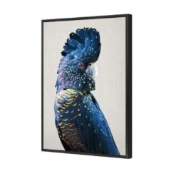 Distracted Black Cocky -WALL ART DESGIN SALE distracted black cocky canvas black frame 45x30cm 311639
