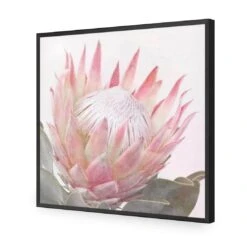 Dreamy Protea (Square) 15 Dreamy Protea (Square) -WALL ART DESGIN SALE dreamy protea square acrylic glass no border black frame 37x37cm 428583