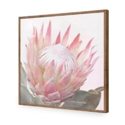 Dreamy Protea (Square) 18 Dreamy Protea (Square) -WALL ART DESGIN SALE dreamy protea square acrylic glass no border natural frame 37x37cm 280025