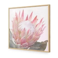 Dreamy Protea (Square) 17 Dreamy Protea (Square) -WALL ART DESGIN SALE dreamy protea square acrylic glass no border oak frame 37x37cm 914095