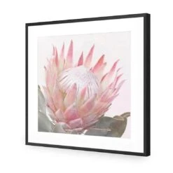 Dreamy Protea (Square) 10 Dreamy Protea (Square) -WALL ART DESGIN SALE dreamy protea square acrylic glass with border black frame 37x37cm 219635