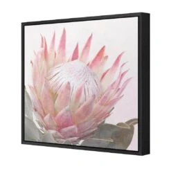 Dreamy Protea (Square) 4 Dreamy Protea (Square) -WALL ART DESGIN SALE dreamy protea square canvas black floating frame 37x37cm 875670
