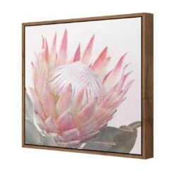 Dreamy Protea (Square) 7 Dreamy Protea (Square) -WALL ART DESGIN SALE dreamy protea square canvas natural floating frame 37x37cm 504356