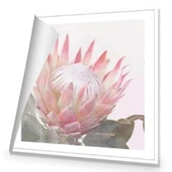 Dreamy Protea (Square) 8 Dreamy Protea (Square) -WALL ART DESGIN SALE dreamy protea square canvas rolled canvas 37x37cm 347634