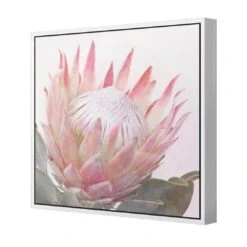 Dreamy Protea (Square) 5 Dreamy Protea (Square) -WALL ART DESGIN SALE dreamy protea square canvas white floating frame 37x37cm 411606