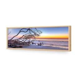 Driftwood Sunrise (Long) 17 Driftwood Sunrise (Long) -WALL ART DESGIN SALE driftwood sunrise long canvas stretched canvas 60x20cm 275077