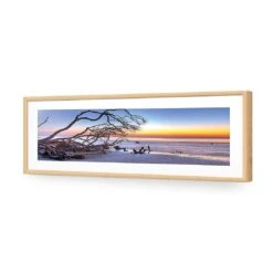 Driftwood Sunrise (Long) 12 Driftwood Sunrise (Long) -WALL ART DESGIN SALE driftwood sunrise long canvas stretched canvas 60x20cm 500653