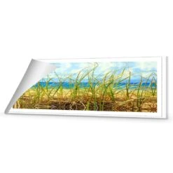 Dune Grass (Long) 8 Dune Grass (Long) -WALL ART DESGIN SALE dune grass long canvas rolled canvas 60x20cm 588553