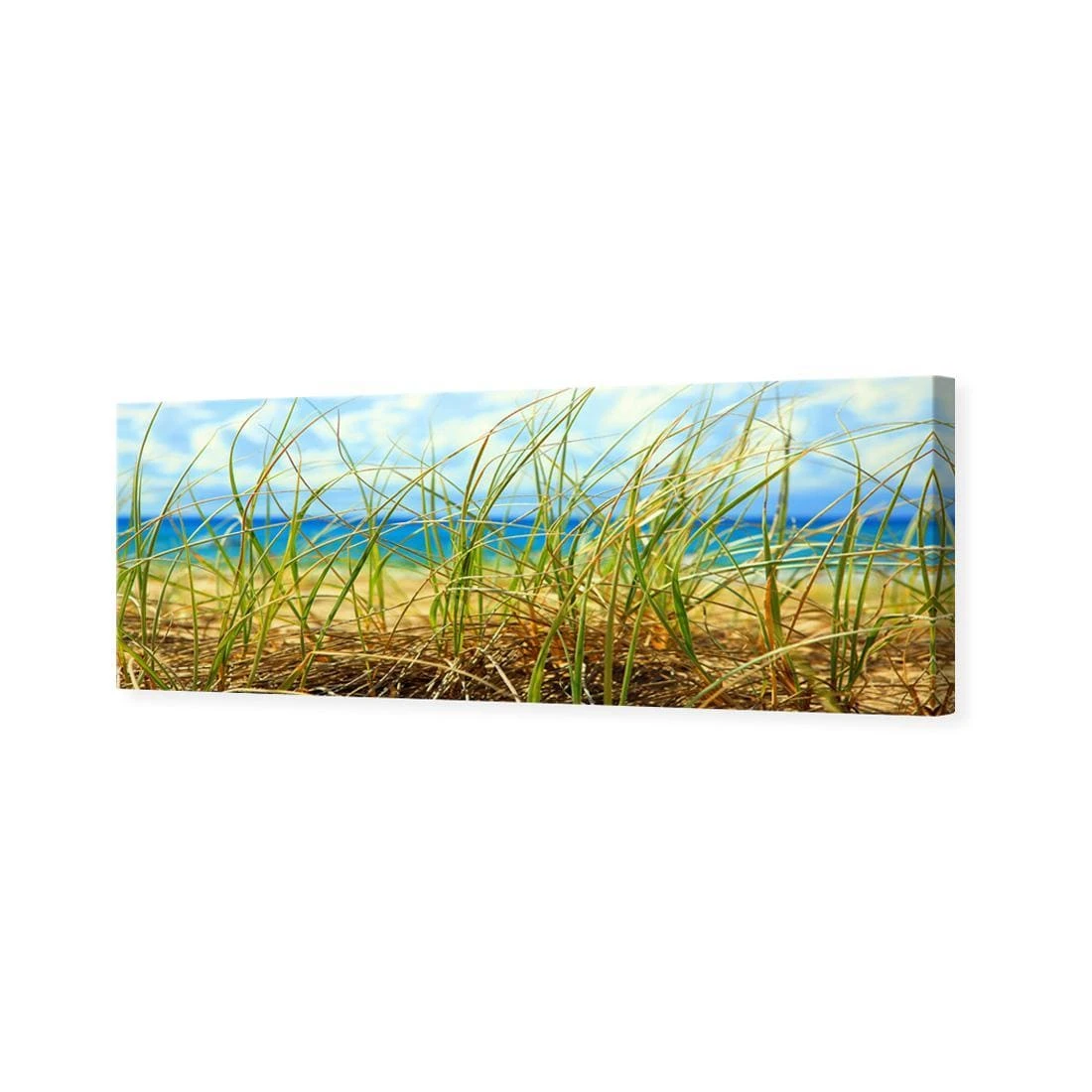 Dune Grass (Long) Dune Grass (Long) -WALL ART DESGIN SALE dune grass long canvas stretched canvas 60x20cm 695358
