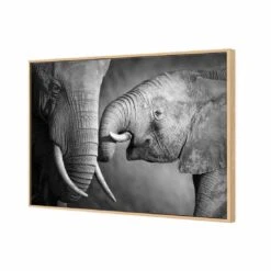Elephant And Mum Canvas Art 6 Elephant And Mum Canvas Art -WALL ART DESGIN SALE elephant and mum canvas art 45x30cm oak frame 564127