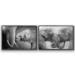 Elephant Family Perfect Pair 17 Elephant Family Perfect Pair -WALL ART DESGIN SALE elephant family perfect pair acrylic glass no border black frame 45x30cm 560884