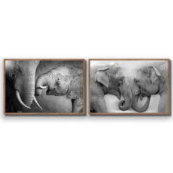 Elephant Family Perfect Pair 20 Elephant Family Perfect Pair -WALL ART DESGIN SALE elephant family perfect pair acrylic glass no border natural frame 45x30cm 341727