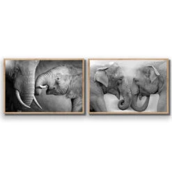 Elephant Family Perfect Pair 19 Elephant Family Perfect Pair -WALL ART DESGIN SALE elephant family perfect pair acrylic glass no border oak frame 45x30cm 692229