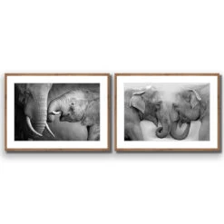 Elephant Family Perfect Pair 15 Elephant Family Perfect Pair -WALL ART DESGIN SALE elephant family perfect pair acrylic glass with border natural frame 45x30cm 186672