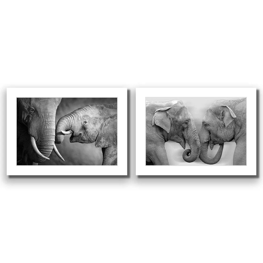 Elephant Family Perfect Pair Elephant Family Perfect Pair -WALL ART DESGIN SALE elephant family perfect pair acrylic glass with border no frame 45x30cm 227184