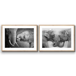 Elephant Family Perfect Pair 14 Elephant Family Perfect Pair -WALL ART DESGIN SALE elephant family perfect pair acrylic glass with border oak frame 45x30cm 705454