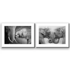 Elephant Family Perfect Pair 13 Elephant Family Perfect Pair -WALL ART DESGIN SALE elephant family perfect pair acrylic glass with border white frame 45x30cm 160772