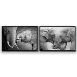 Elephant Family Perfect Pair 6 Elephant Family Perfect Pair -WALL ART DESGIN SALE elephant family perfect pair canvas black floating frame 45x30cm 867891