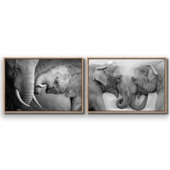 Elephant Family Perfect Pair 8 Elephant Family Perfect Pair -WALL ART DESGIN SALE elephant family perfect pair canvas oak floating frame 45x30cm 332864