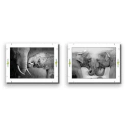 Elephant Family Perfect Pair 10 Elephant Family Perfect Pair -WALL ART DESGIN SALE elephant family perfect pair canvas rolled canvas 45x30cm 121576