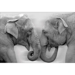 Elephant Family Perfect Pair 5 Elephant Family Perfect Pair -WALL ART DESGIN SALE elephant family perfect pair canvas stretched canvas 45x30cm 262815
