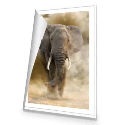 Elephant In Dust Canvas Art -WALL ART DESGIN SALE elephant in dust canvas art 45x30cm rolled canvas 620566