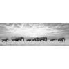 Elephant Trail, B&W Canvas Art 1 Elephant Trail, B&W Canvas Art -WALL ART DESGIN SALE elephant trail bw canvas art 60x20cm no frame 299794