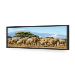 Elephant Under Savannah (Long) 15 Elephant Under Savannah (Long) -WALL ART DESGIN SALE elephant under savannah long acrylic glass no border black frame 90x30cm 288815