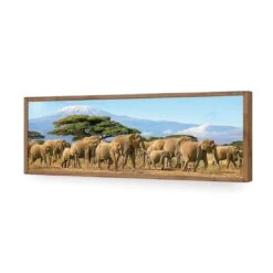 Elephant Under Savannah (Long) 18 Elephant Under Savannah (Long) -WALL ART DESGIN SALE elephant under savannah long acrylic glass no border natural frame 90x30cm 304134