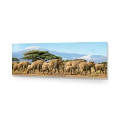 Elephant Under Savannah (Long) 14 Elephant Under Savannah (Long) -WALL ART DESGIN SALE elephant under savannah long acrylic glass no border no frame 90x30cm 178401