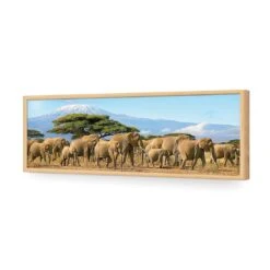 Elephant Under Savannah (Long) 17 Elephant Under Savannah (Long) -WALL ART DESGIN SALE elephant under savannah long acrylic glass no border oak frame 90x30cm 893156