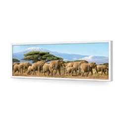 Elephant Under Savannah (Long) 16 Elephant Under Savannah (Long) -WALL ART DESGIN SALE elephant under savannah long acrylic glass no border white frame 90x30cm 604721