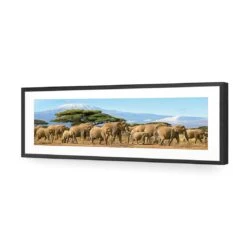 Elephant Under Savannah (Long) 10 Elephant Under Savannah (Long) -WALL ART DESGIN SALE elephant under savannah long acrylic glass with border black frame 90x30cm 932259