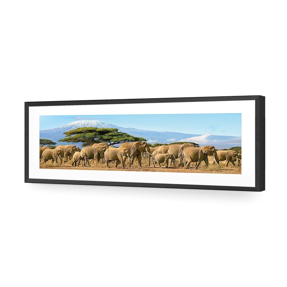 Elephant Under Savannah (Long) Elephant Under Savannah (Long) -WALL ART DESGIN SALE elephant under savannah long acrylic glass with border black frame 90x30cm 932259
