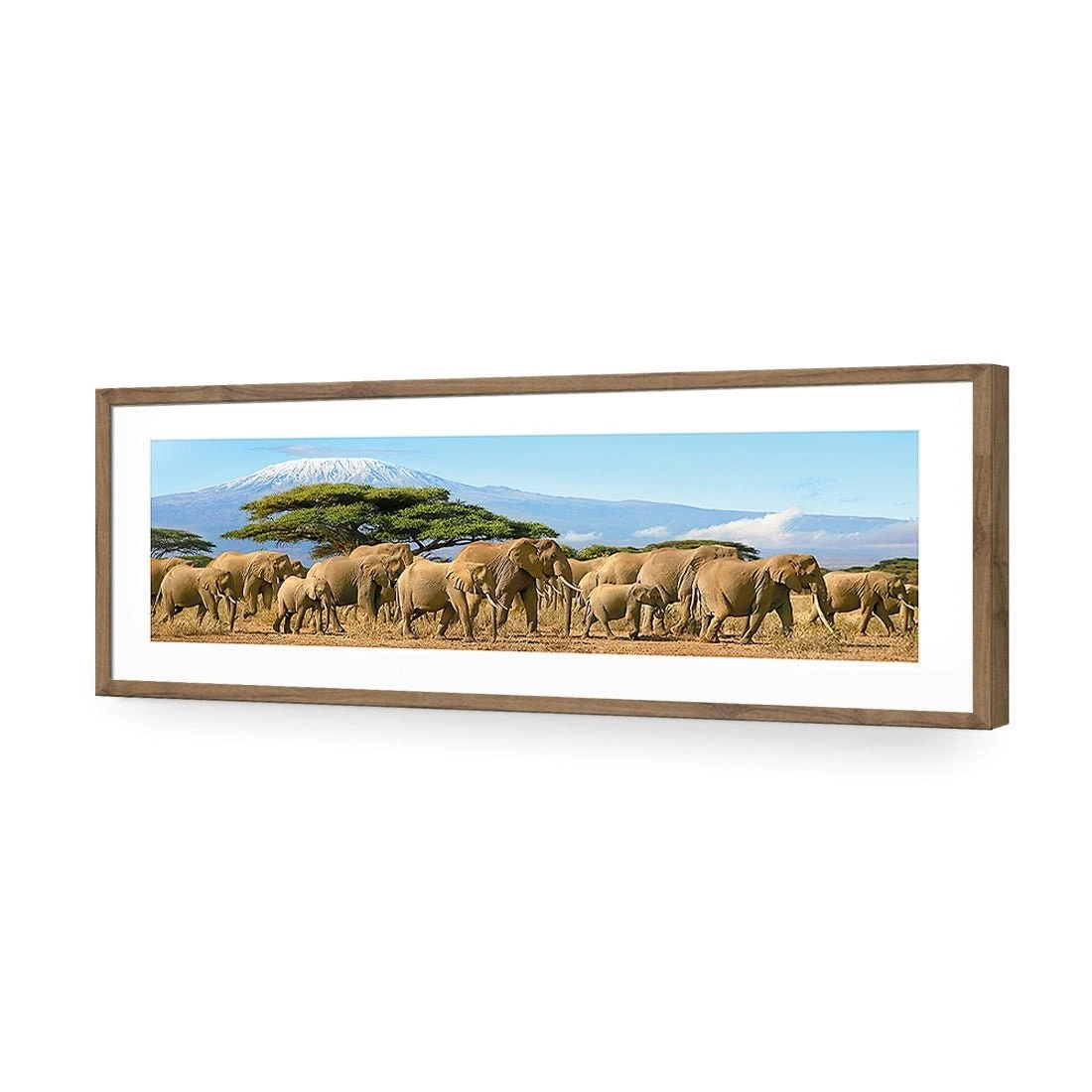Elephant Under Savannah (Long) Elephant Under Savannah (Long) -WALL ART DESGIN SALE elephant under savannah long acrylic glass with border natural frame 90x30cm 815599